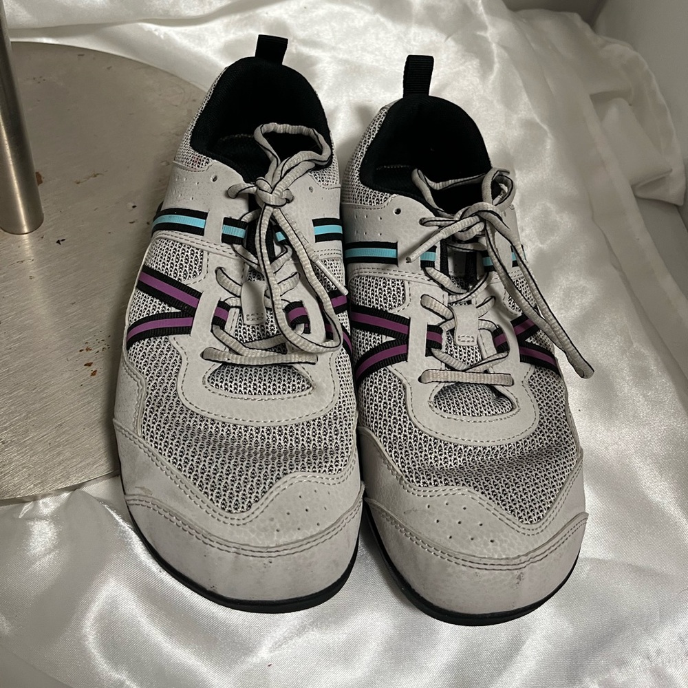 Gray Sneakers with Purple and Blue Stripes